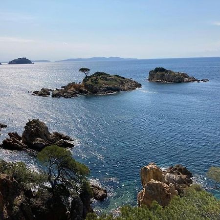 Atelierchic Bed & Breakfast Le Lavandou Luaran gambar