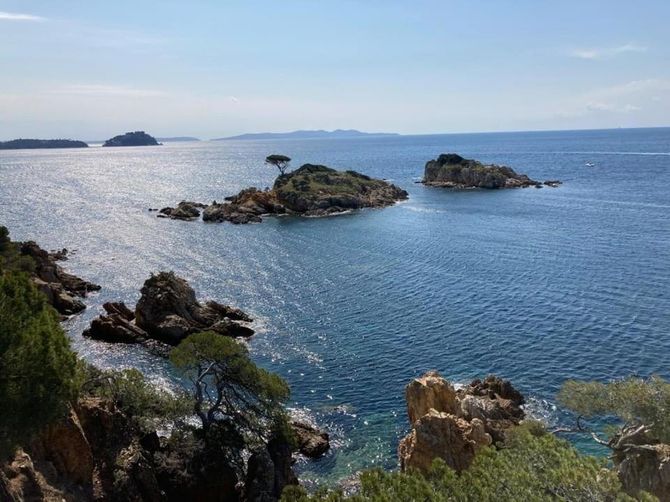 Atelierchic Bed & Breakfast Le Lavandou Luaran gambar